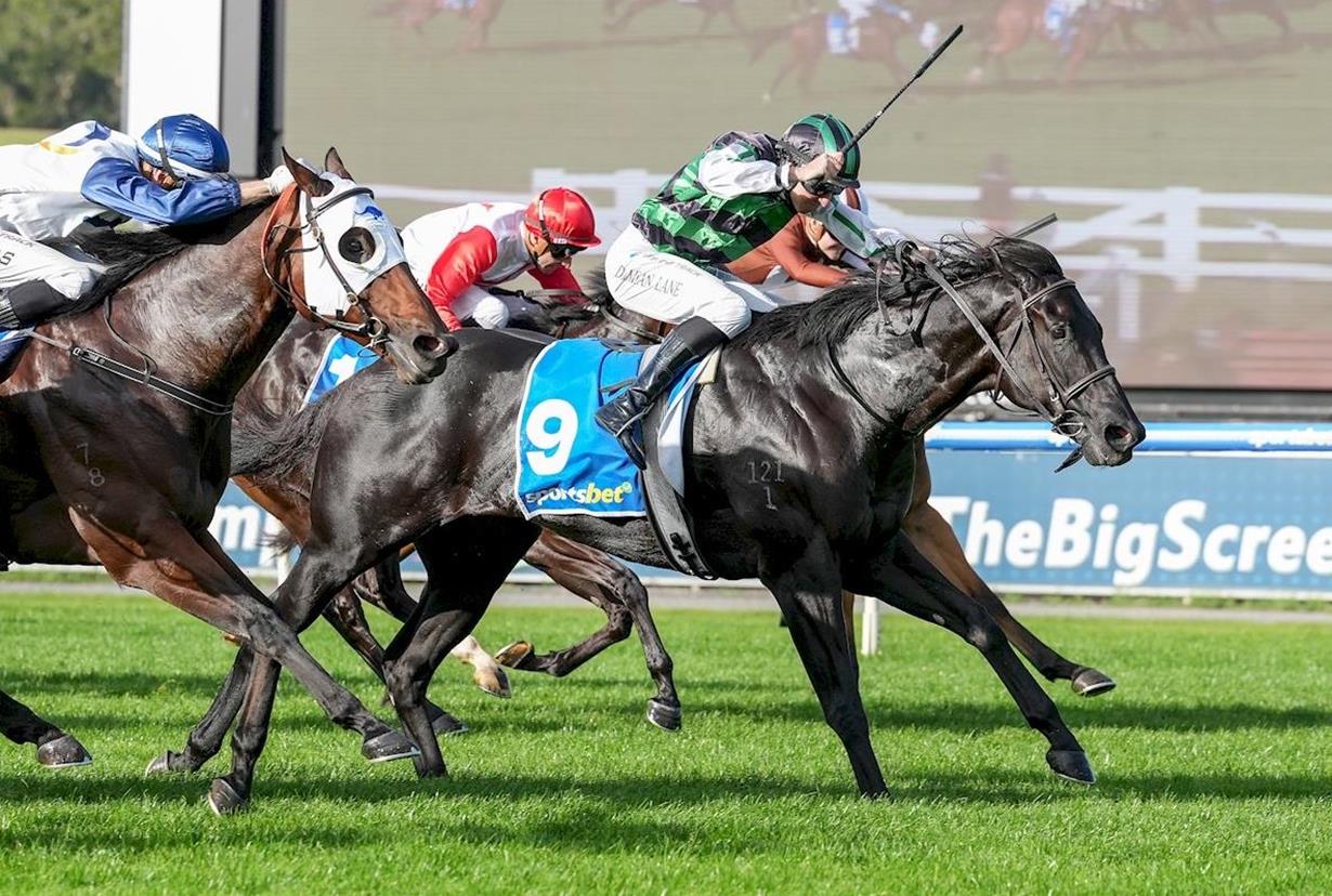 SPEED MACHINE SHOWS GRIT 